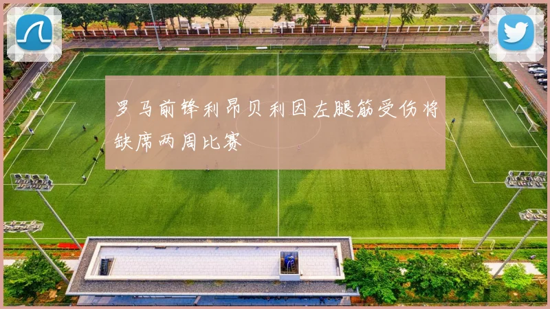 罗马前锋利昂贝利因左腿筋受伤将缺席两周比赛