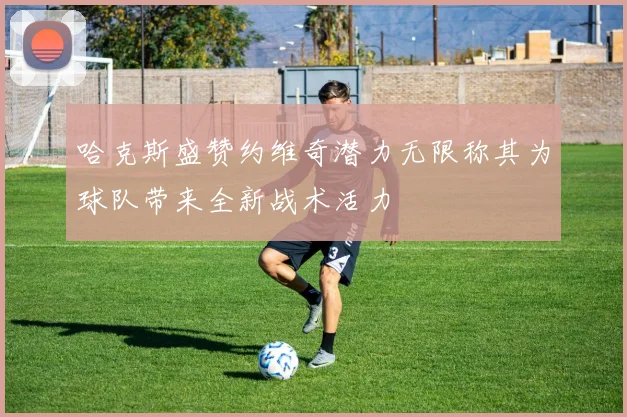 哈克斯盛赞约维奇潜力无限称其为球队带来全新战术活力