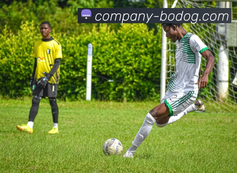 博狗娱乐品牌故事