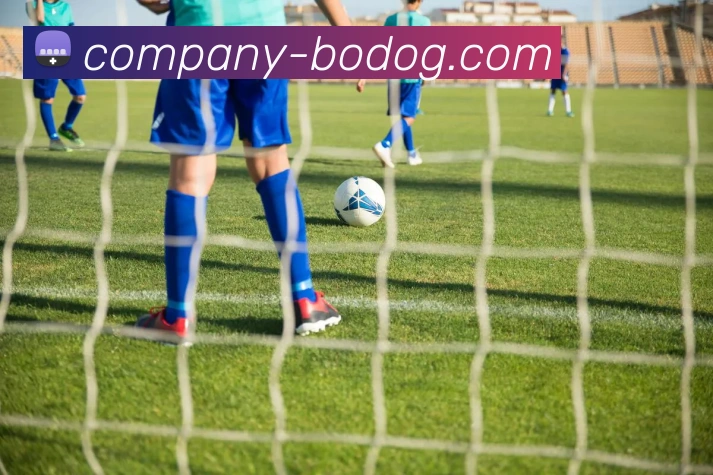 博狗娱乐服务体系