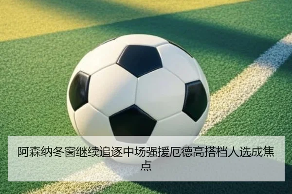 阿森纳冬窗继续追逐中场强援厄德高搭档人选成焦点 - bogou